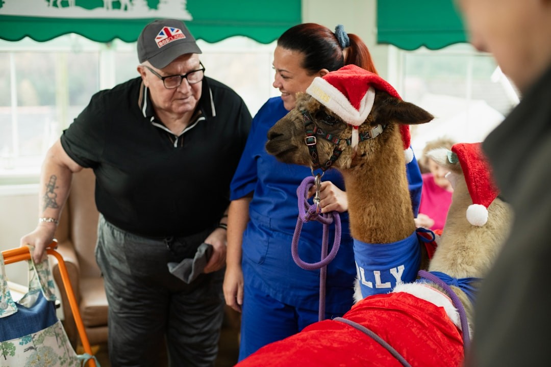 Residents enjoying activities
